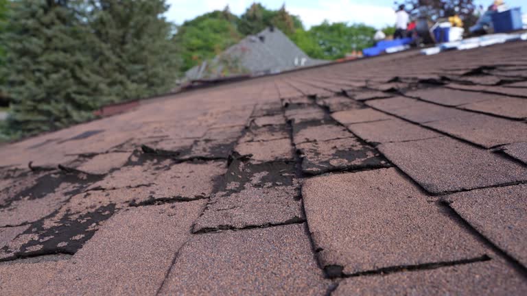 4 Ply Roofing in Short Pump, VA